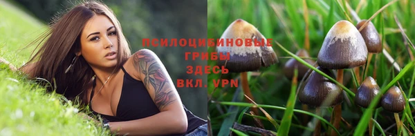 молекула духа Козловка
