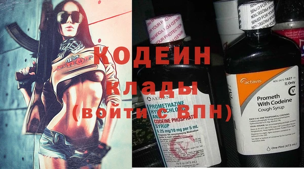 молекула духа Козловка