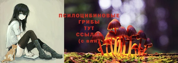 молекула духа Козловка