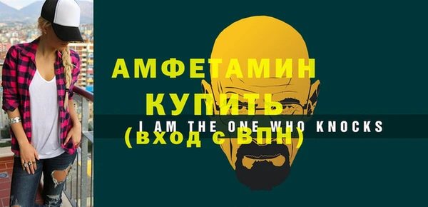 молекула духа Козловка