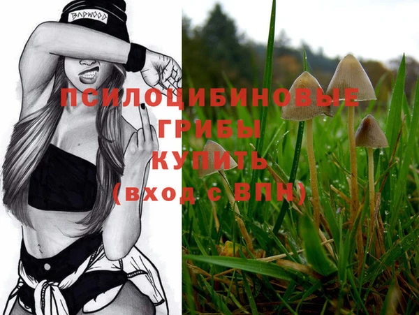 не бодяженный Кодинск