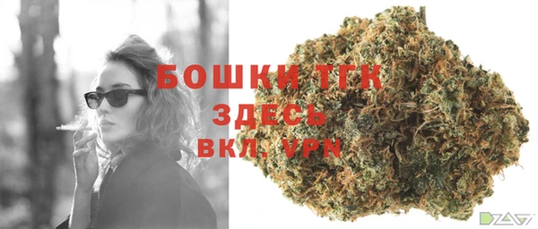 молекула духа Козловка