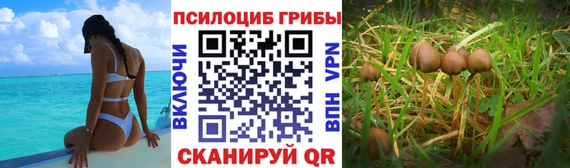 Галлюциногенные грибы мухоморы omg вход Королёв